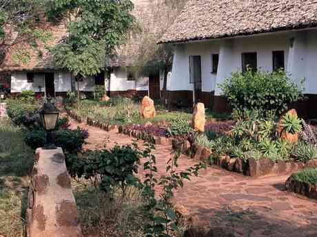 Kilaguni Serena Safari Lodge